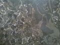 Motorola Defy+ test image