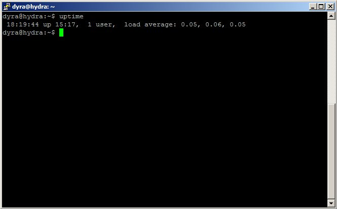 uptime uptime